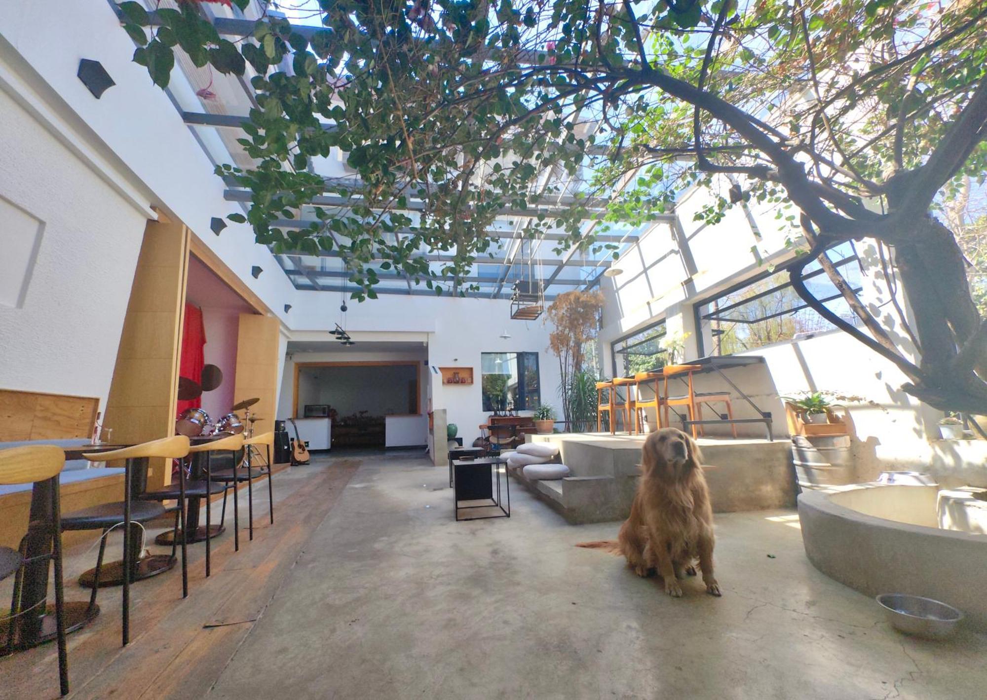 Dali Loft Travelling With Hostel Zewnętrze zdjęcie